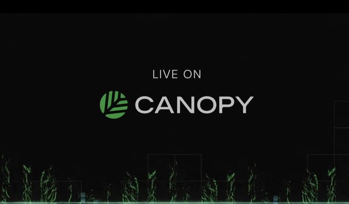 A dark screen displaying the text 'LIVE ON CANOPY' with a green leaf-like logo, likely a streaming platform interface.