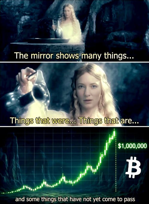 The image is a meme using Galadriel from Lord of the Rings holding a mirror, with the caption "The mirror shows many things... Things that were... Things that are... and some things that have not yet come to pass," paired with a Bitcoin price chart showing BTC reaching $1,000,000 as a prediction of what the "mirror" (or future) holds for cryptocurrency.