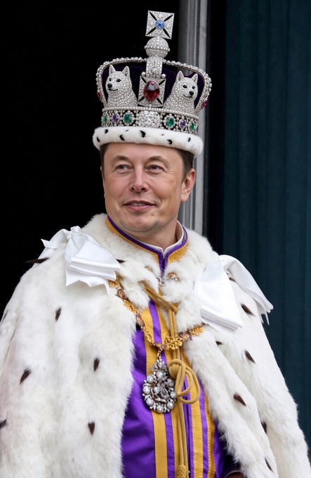 A digitally edited image shows Elon Musk wearing the Imperial State Crown and ceremonial robes, including ermine fur and a jeweled collar, depicting him as royalty. The image humorously aligns with the caption "His Majesty King Elon Musk," portraying the tech mogul as a crowned monarch.