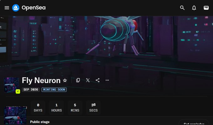 An OpenSea webpage showing a 'Fly Neuron' NFT collection minting soon in September 2026, with a countdown timer of 0 days, 1 hour, 5 minutes, and 36 seconds.