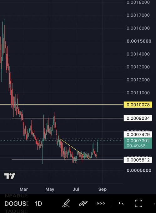 A TradingView candlestick chart for the DOGUSD pair (NEAR/DOGUSDT) showing a downward trend with price levels marked at 0.0010078, 0.0009034, 0.0007429, 0.0007302, and 0.0005812.