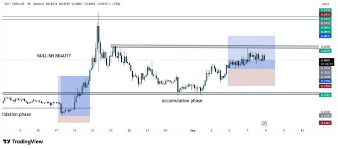 A TradingView chart for SUI/USDT showing price movement with annotations labeling 'BULLISH BEAUTY', 'accumulation phase', and 'lid phase'.