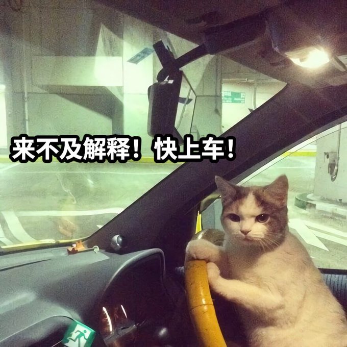 A humorous photo of a cat sitting upright at the steering wheel of a car in a parking garage, with Chinese text overlay reading '来不及解释！快上车！' (No time to explain! Get in the car!).