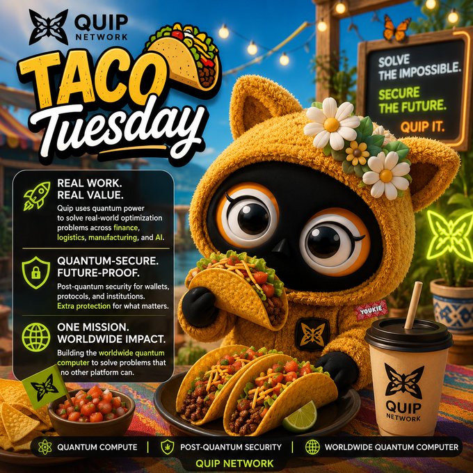 Promotional graphic for 'QUIP NETWORK Taco Tuesday' featuring a plush cat mascot in a taco costume, advertising quantum-secure networking, post-quantum security, and worldwide quantum computing.