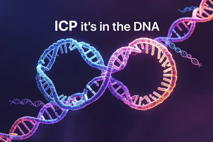 A vibrant, neon-colored 3D rendering of a DNA double helix is displayed against a dark background, with the text "ICP it's in the DNA" overlaid at the top. The image cleverly uses the DNA motif to suggest that the speaker has an inherent, natural connection or talent for ICP (Internet Computer Protocol), reinforcing their claim of being a perfect fit for the @dfinity project.