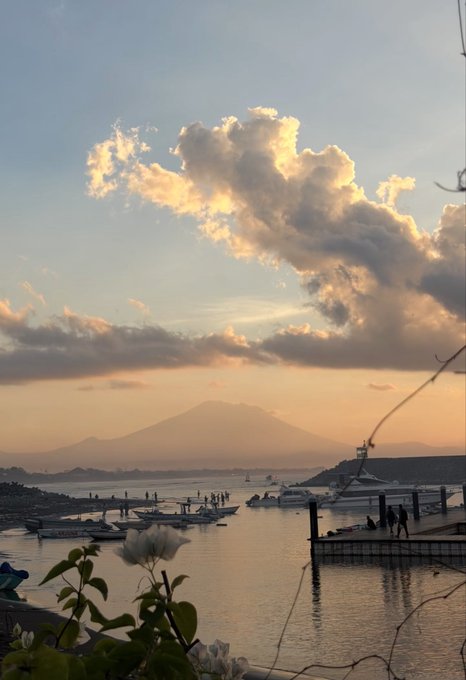 A scenic harbor view at sunset with dramatic clouds, featuring a mountain silhouette in the distance, boats docked at piers, and white flowers blooming in the foreground.