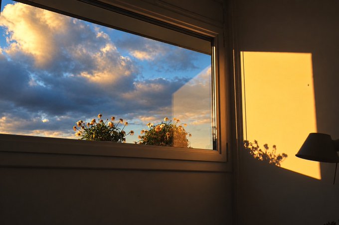 A view through an open window showing a partly cloudy blue sky and potted plants on the sill, with warm sunset light casting a shadow on the wall beside a lamp.