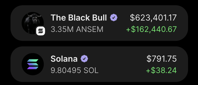 A cryptocurrency portfolio display shows two verified assets: 'The Black Bull' valued at $623,401.17 (3.35M ANSEM, +$162,440.67) and Solana valued at $791.75 (9.80495 SOL, +$38.24).