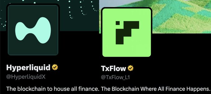 The image shows two social media profile cards side by side: Hyperliquid (@HyperliquidX) with the tagline "The blockchain to house all finance" and TxFlow (@TxFlow_L1) with the tagline "The Blockchain Where All Finance Happens." The post "you're seeing this too right?" likely refers to the nearly identical, competing taglines suggesting copycat messaging between the two crypto/blockchain projects.
