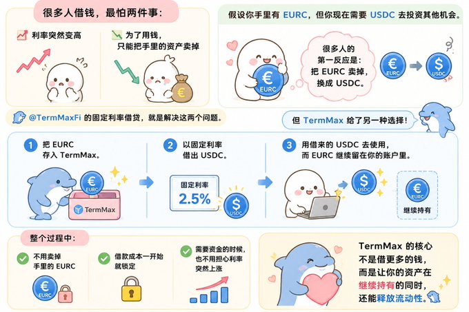 A Chinese-language infographic explaining TermMax Fi's fixed-rate lending protocol, illustrating how EURC can be deposited and USDC borrowed at 2.5% fixed rate while retaining EURC.