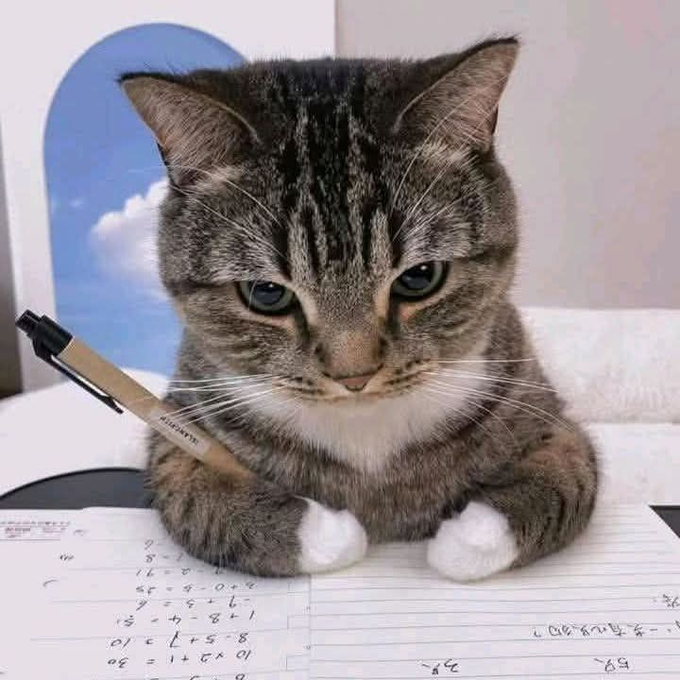 A tabby cat with white paws sits on a notebook filled with handwritten math calculations, holding a pen in its paw as if studying.