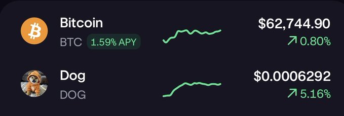 A crypto price tracker showing Bitcoin (BTC) at $62,744.90 up 0.80% with 1.59% APY, and Dog (DOG) at $0.00006292 up 5.16%.