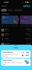 The image shows the Cronos (CRO) cryptocurrency page on Crypto.com's app, displaying its current price and market metrics. At the bottom, a "Top up with cash" fee comparison reveals that buying CRO via Visa/Mastercard incurs a 3.99% fee while Google Pay offers a 0% fee—highlighting the irony noted in the caption that Cronos's own blockchain charges higher fees on its native token than alternative payment methods.