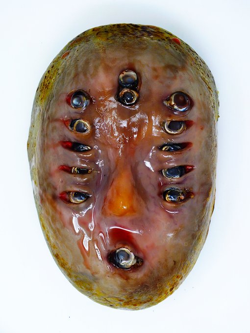 A grotesque sculpted mask or face featuring multiple eyes arranged across its forehead and cheeks, with a central nose and a single eye at the mouth, covered in a glossy, wet-looking surface.