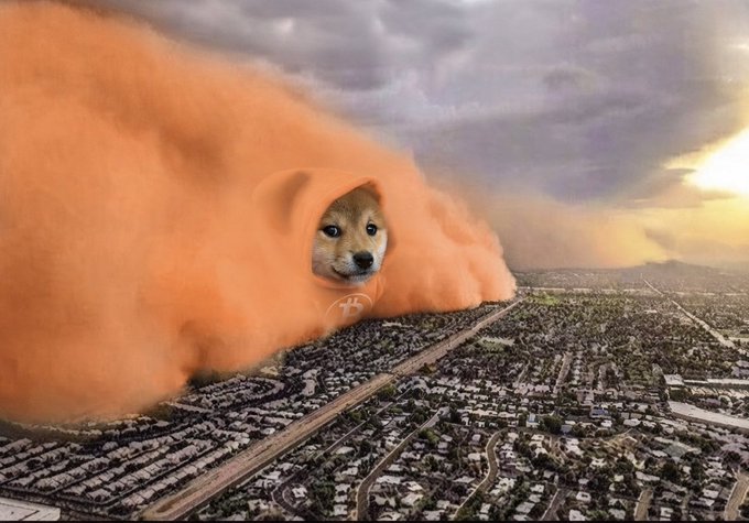 The image humorously edits a giant Shiba Inu ("Doge") dog's face and body as a massive dust storm or weather phenomenon rolling over a sprawling city, capturing the meme coin dominance narrative of "$DOG > Everything." The surreal visual symbolizes how $DOG is overwhelming the entire financial landscape, towering over the cityscape just as the enormous canine creature dwarfs the urban environment below.