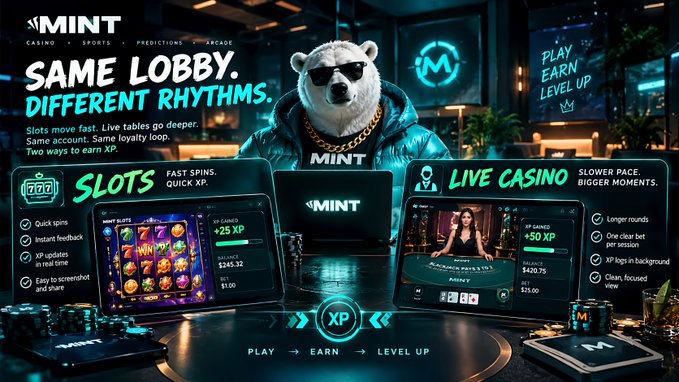 A promotional graphic for 'MINT' features a bear character wearing sunglasses and a gold chain, advertising 'SAME LOBBY. DIFFERENT RHYTHMS.' with sections for 'SLOTS' and 'LIVE CASINO' and a tagline 'PLAY → EARN → LEVEL UP'.