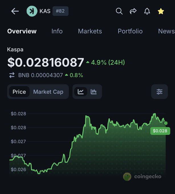A CoinGecko price tracker screenshot for Kaspa (KAS) showing the current price at $0.02816087 with a 4.9% increase over 24 hours, featuring a green line chart.