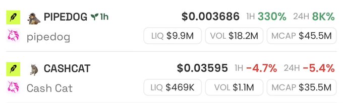 A cryptocurrency market listing displays PIPEDOG trading at $0.003686 with a 330% surge in the last hour and 8% gain over 24 hours (market cap $45.5M), alongside CASHCAT at $0.03595 down 4.7% in 1H and 5.4% in 24H (market cap $35.5M). These meme tokens on the Robinhood Chain illustrate the platform's launch lineup featuring animal-themed assets with active trading volume.
