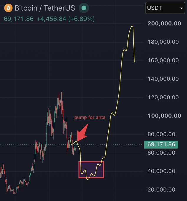 A Bitcoin/TetherUS (USDT) price chart shows a current price of 69,171.86 with a +6.89% gain, featuring an annotation labeled 'pump for ants' with an arrow pointing to a smaller price rise, and a red box highlighting a consolidation phase before the massive surge toward 200,000.
