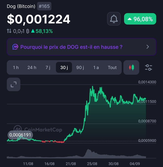 A CoinMarketCap price tracker for Dog (Bitcoin) #165 showing a current price of $0.001224 with a 96.08% increase, displaying a 30-day chart with notable upward momentum.