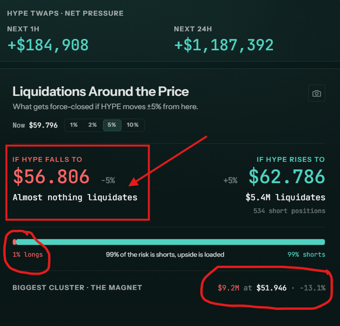A HYPE TWAPs liquidation dashboard shows current price at $59.796, with +$184,908 net pressure for the next hour and +$1,187,392 for 24 hours. Key data: only 1% longs vs 99% shorts (risk heavily skewed short-side), almost nothing liquidates if HYPE falls 5% to $56.806, while 534 short positions worth $5.4M liquidate if it rises 5% to $62.786, with the biggest cluster of $9.2M shorts positioned at $51.946 (-13.1% downside).