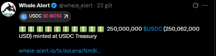 A dark-themed tweet from 'Whale Alert (@whale_alert)' posted 23 hours ago, reporting that 250,000,000 $USDC (250,062,000 USD) was minted at the USDC Treasury, with a link to whale-alert.io/tx/solana/Nm9j.