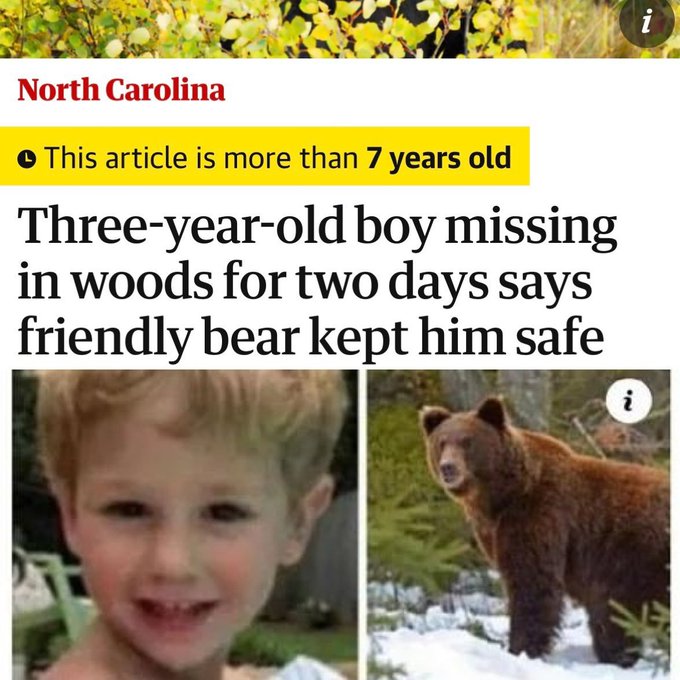 A news headline reads "North Carolina: Three-year-old boy missing in woods for two days says friendly bear kept him safe," featuring a photo of a smiling toddler and a brown bear. The post humorously compares retail traders (plebs) rushing back into the crypto market as Bitcoin rallies to $80k to a child being comforted by a friendly bear—suggesting naive investors feel "safe" during bull runs while dangerous risks lurk nearby.