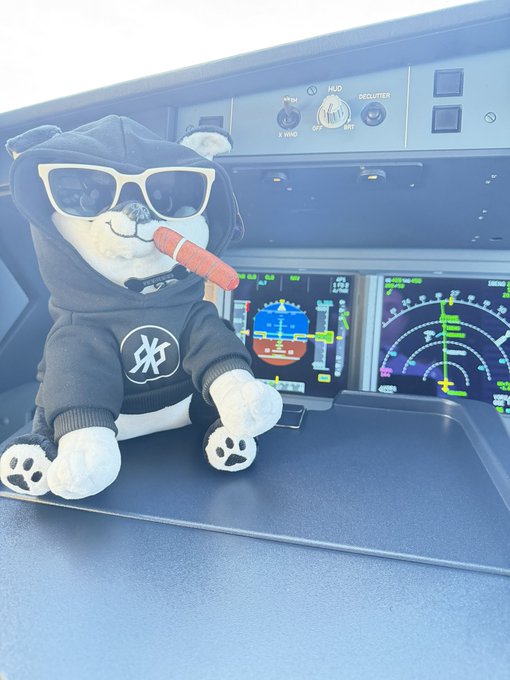A plush polar bear mascot wearing sunglasses, a black hoodie with the "OKX" logo, and holding a cigar sits in a commercial airplane cockpit, with flight instruments and overhead panels visible in the background—perfectly capturing the "$DOG Army is DIFFERENT" vibe by blending aviation swagger with crypto branding.