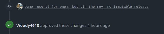 A GitHub pull request comment reading 'bump: use v6 for pnpm, but pin the rev, no immutable release', with 'Woody4618 approved these changes 4 hours ago' below it.