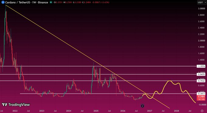 TradingView chart of Cardano (ADA/USDT) on the weekly timeframe showing a long-term descending trendline with the price at $0.2484, featuring horizontal support/resistance levels and technical analysis overlays extending to 2028.