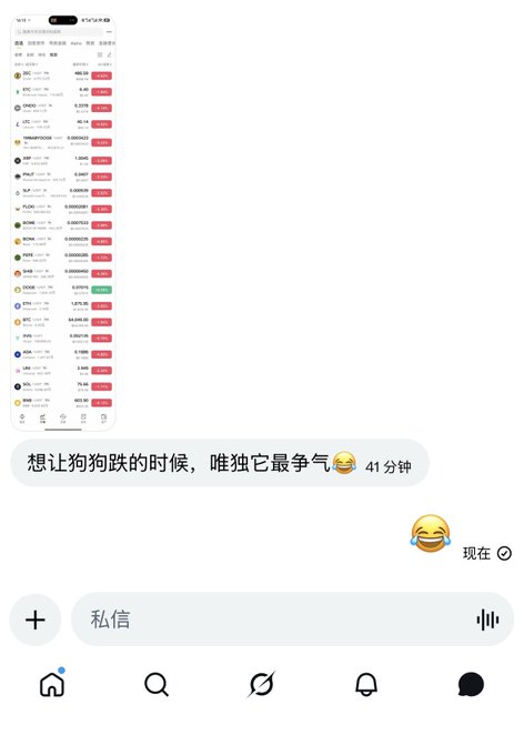 A smartphone screenshot of a Chinese messaging app showing a stock market watchlist with red/green ticker data and a chat message in Chinese with a laughing emoji, reading '想让狗狗跌的时候，唯独它最争气😂'.
