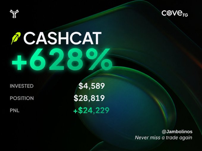 A financial graphic shows 'CASHCAT' with a green '+628%' return, listing an investment of $4,589, a position of $28,819, and a PNL of +$24,229, branded with 'CAVE TG' and '@Jambolinos'.