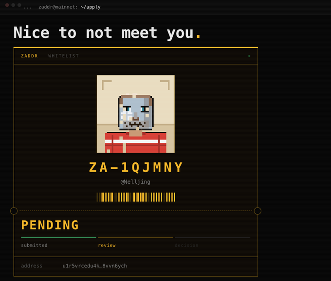 Screenshot of a 'ZADDR WHITELIST' application page showing a pixel art avatar, the username 'Nelljing', and the application status as 'PENDING' under review.