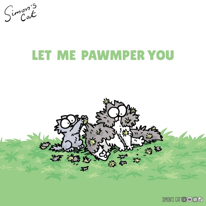 Two fluffy cats roll around in the grass covered in burrs and leaves, with the text "LET ME PAWMPER YOU" and "Simon's Cat" displayed above them. The image humorously matches the post's message, suggesting that despite looking messy, the playful cats are trying to pamper each other—and everything will be alright.