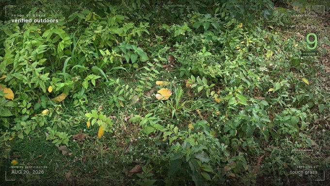 A field photograph of green leafy vegetation with scattered yellowing leaves, overlaid with a HUD-style interface showing 'PROOF OF GREEN: verified outdoors,' 'AUG 20, 2026,' and various environmental metrics.