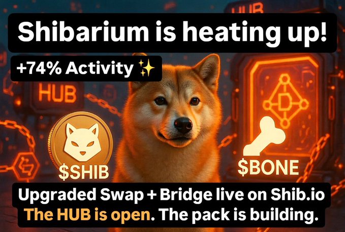 A promotional graphic states 'Shibarium is heating up! +74% Activity' featuring a Shiba Inu dog alongside icons for $SHIB and $BONE, with text 'Upgraded Swap + Bridge live on Shib.io' and 'The HUB is open.'