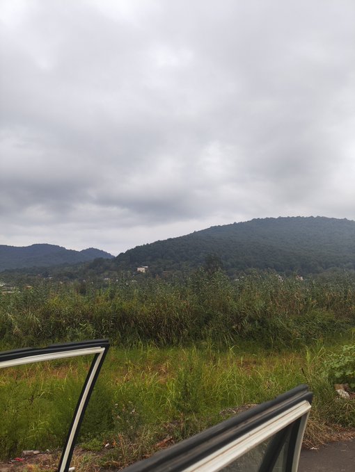 The image shows an overcast mountain landscape with forested hills and a grassy field, viewed past the open frame of a car door in the foreground. The scene's connection to the "GM peeps, Happy thirsty Thursday" post is unclear, though the gloomy weather might suggest the perfect setting for grabbing a beverage to lift spirits.