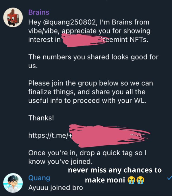 A Telegram message from 'Brains' discusses NFT minting opportunities, with parts redacted in pink, while a reply from 'Quang' confirms joining the group.
