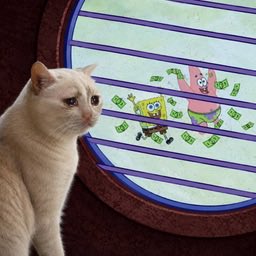 A cream-colored cat sits beside a circular sign featuring SpongeBob and Patrick plastered with green dollar bills above the text "CASH CAT." The "sidelined cat" reference alludes to both the cat's seemingly unenthused, out-of-focus expression and the Pokémon-style "sidelined" status typically applied to benchwarmers—suggesting Cash Cat's investors will end up sidelined once again.
