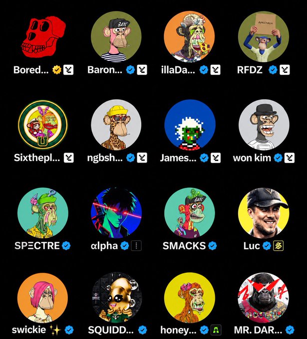 A grid of sixteen circular NFT profile pictures, many featuring Bored Ape-style characters, with usernames like 'Bored...', 'Baron...', and 'Sixthpl...'.