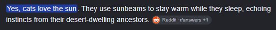 A text snippet highlighted in blue reading 'Yes, cats love the sun. They use sunbeams to stay warm while they sleep, echoing instincts from their desert-dwelling ancestors.'