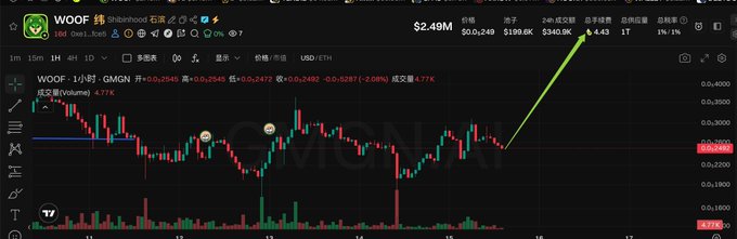 Trading chart showing WOOF (Shibnood) token paired with USDT on GMGN platform at $0.00249, with a green arrow indicating a bullish price projection upward.