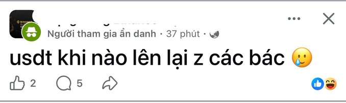 A Vietnamese Facebook comment asking 'usdt khi nào lên lại z các bác' (when will USDT go back up, guys) with 2 likes and 5 comments.
