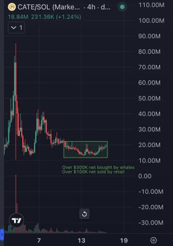 A 4-hour candlestick chart of $CATE/SOL on Solana shows the token's price action over 18.84M tokens traded (+1.24%), with a green box highlighting a sideways range between roughly 10M-20M price levels. The annotation "Over $300K net bought by whales" and "Over $100K net sold by retail" directly illustrates the whale accumulation and retail distribution flow described in the post, while the price range reflects the "bouncing near ATLs" mentioned in the analysis.