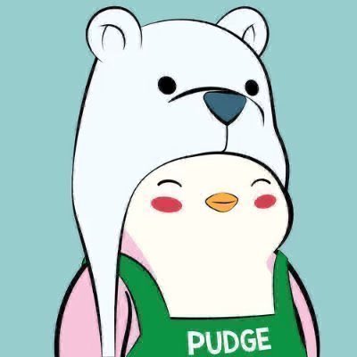 A digital illustration of a cute penguin character with a white face and a pink body, wearing a green hoodie with the word 'PUDGE' written on it, set against a light blue background.