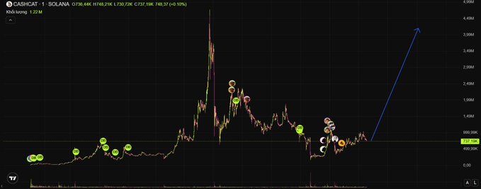 The image shows a TradingView candlestick chart for the CASHCAT/SOLANA (CASHCAT) pair, with a current price of 1.22 M and a 10.19% gain over 1.22K trades. Various colored markers (green, yellow, red, purple) are placed across the price history, tracking buzz spikes that align with the narrative of increasing trader attention and sustained community activity. A blue upward arrow on the right emphasizes the projected bullish momentum referenced in the post.