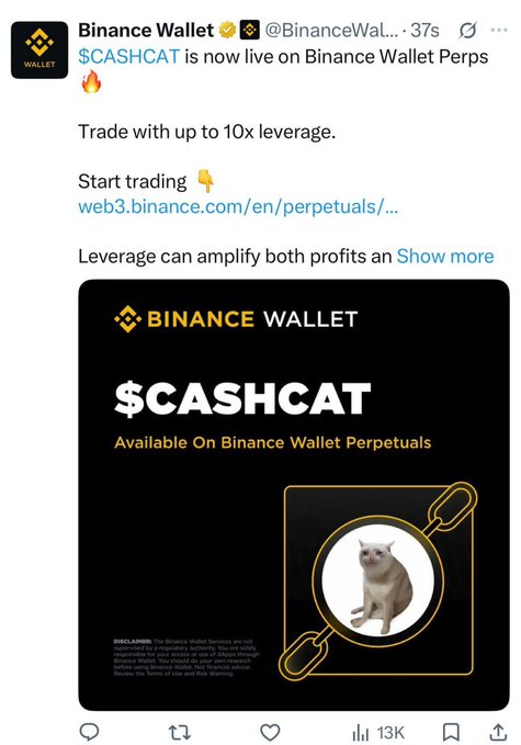 A Binance Wallet announcement tweet featuring $CASHCAT, a meme coin, now available for trading on Binance Wallet Perpetuals with up to 10x leverage. The promotional graphic displays the CashCat logo—a cat inside a circular icon—alongside a disclaimer that the token is high-risk.
