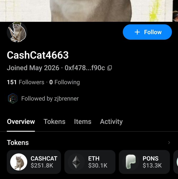 The image shows a crypto profile page for "CashCat4663" displaying holdings including $251.8K in CASHCAT, $30.1K in ETH, and $13.3K in PONS, with a follow button and 151 followers. This supports the post by showing a wallet with substantial $CASHCAT holdings (~$251.8K) that's actively accumulating, reinforcing the bullish sentiment around the Naives collection.