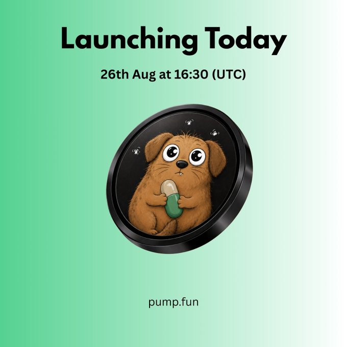 A promotional graphic on a green gradient background with text 'Launching Today, 26th Aug at 16:30 (UTC)', featuring an illustration of a sad brown puppy holding a green and white pill inside a black circular frame, with 'pump.fun' at the bottom.