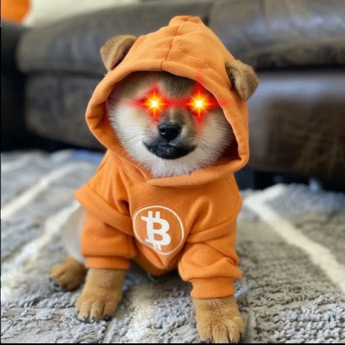 A Shiba Inu puppy wearing an orange Bitcoin hoodie with digitally added glowing red laser eyes, sitting on a textured rug in front of a gray couch.